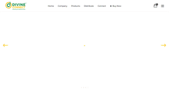 Desktop Screenshot of divineconnect.com